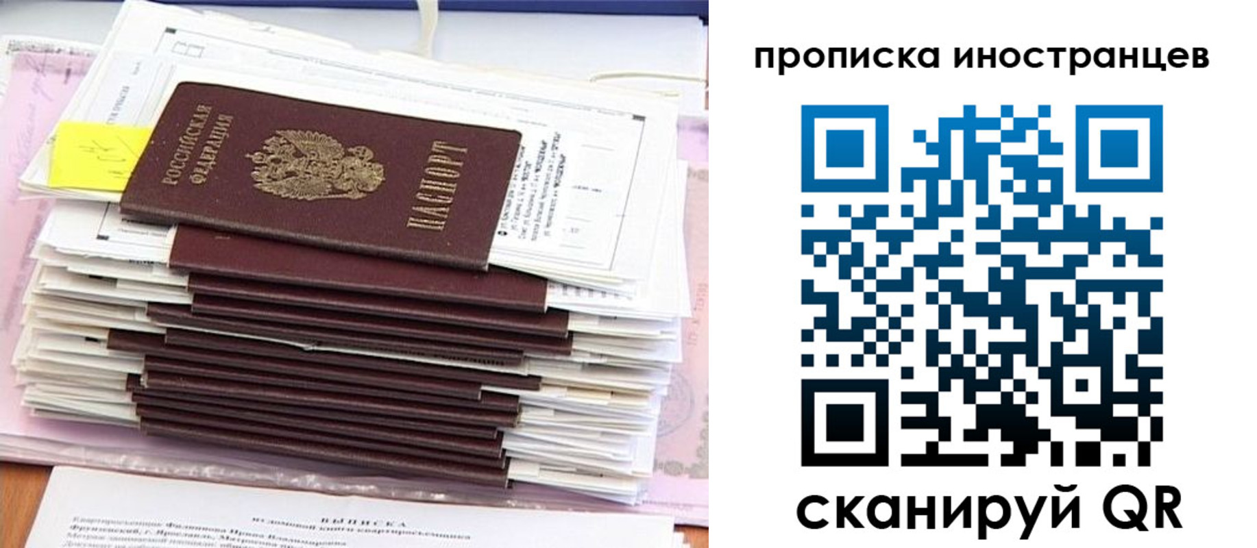 где прописаться в Камышине